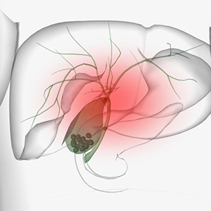 gallbladder