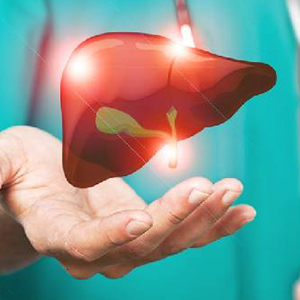liver graphic image